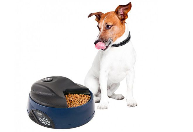 для мелких пород для мелких пород