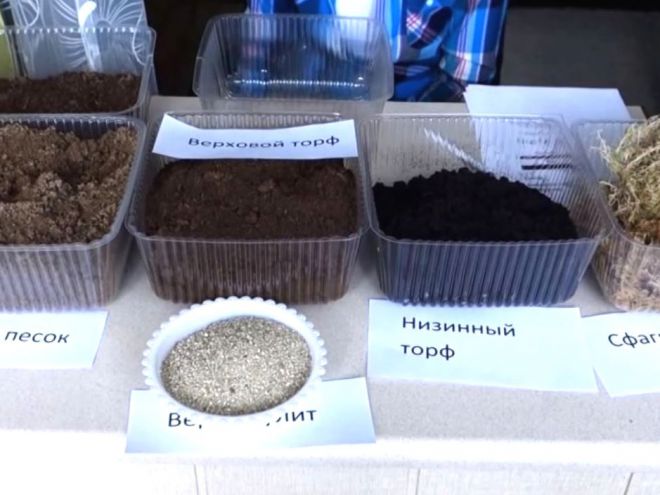 Грунт для ахименесов Грунт для ахименесов