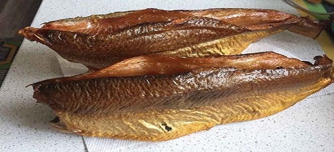 как посолить скумбрию для копчения как посолить скумбрию для копчения