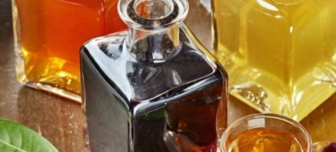 как принимать настойку из рябины как принимать настойку из рябины