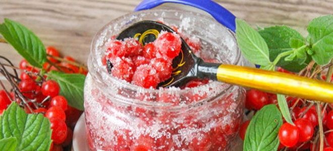 калина с сахаром на зиму калина с сахаром на зиму