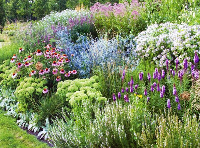 ниггела в ландшафте ниггела в ландшафте