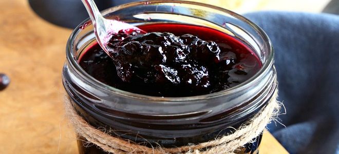 джем из черной смородины в мультиварке джем из черной смородины в мультиварке