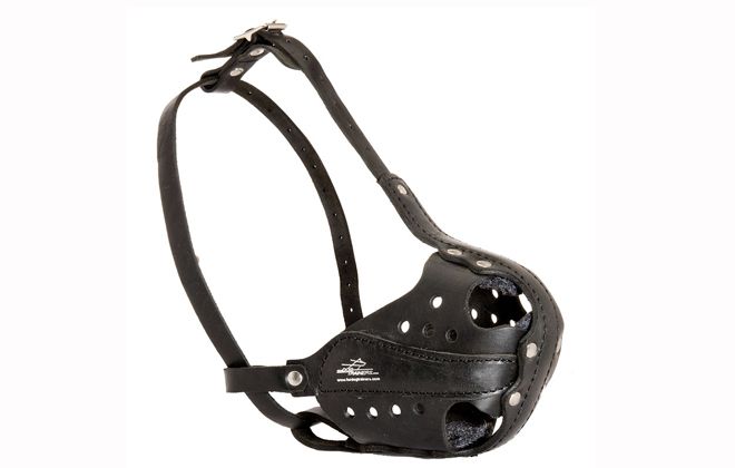 глухой намордник глухой намордник