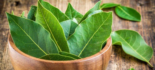 Кератома лечение народными средствами Кератома лечение народными средствами