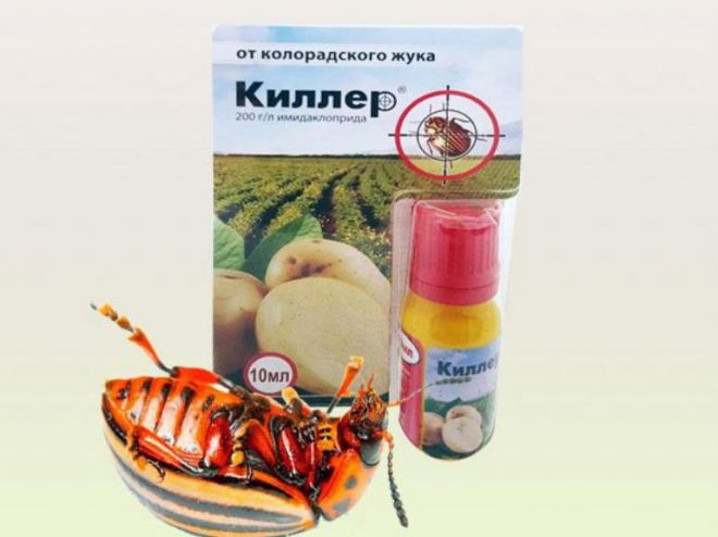 Киллер от колорадского жука Киллер от колорадского жука