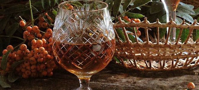 настойка рябины при климаксе настойка рябины при климаксе