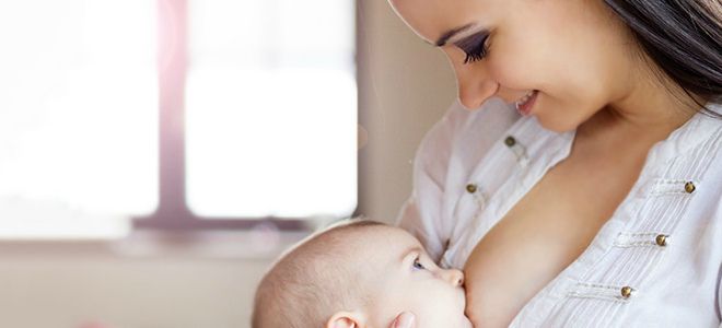 шиповник для лактации шиповник для лактации