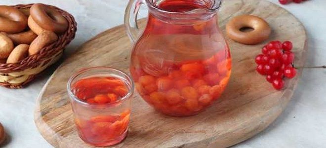 компот из калины компот из калины