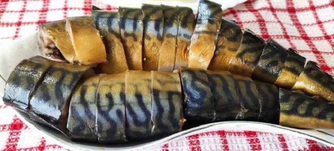 малосольная скумбрия с чаем в домашних условиях малосольная скумбрия с чаем в домашних условиях