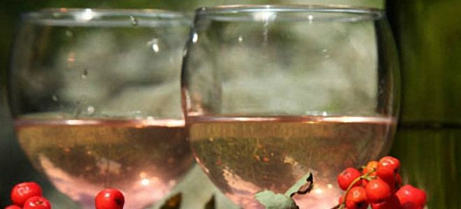 рябиновая настойка от запора рябиновая настойка от запора