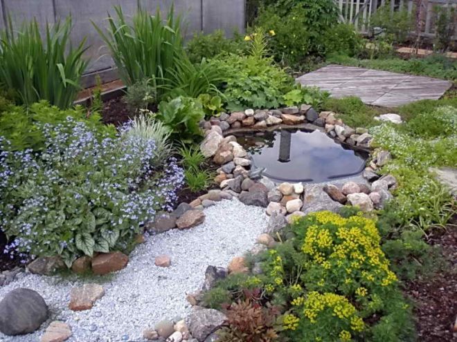 Садовая традесканция в ландшафтном дизайне Садовая традесканция в ландшафтном дизайне