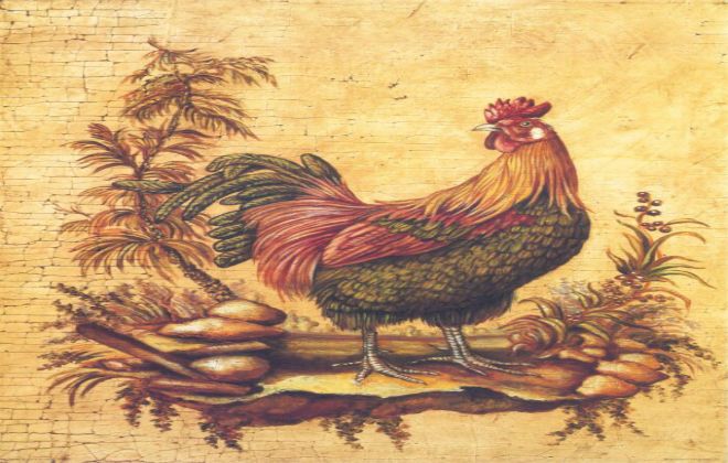 земляной петух земляной петух