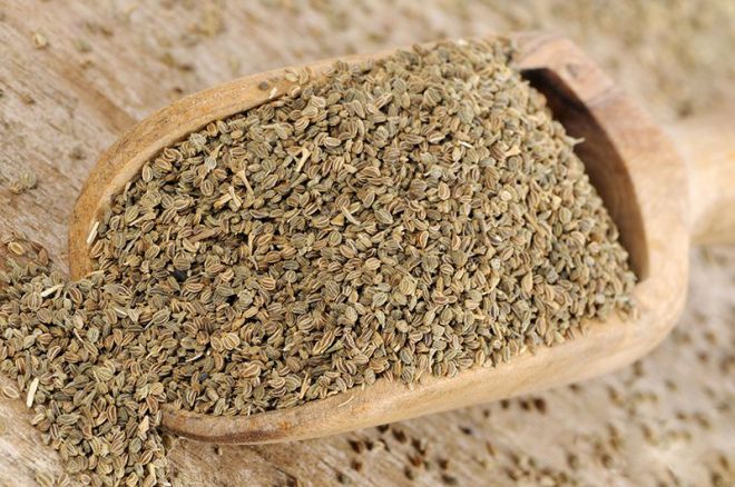 как вырастить сельдерей из семян как вырастить сельдерей из семян