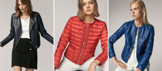 куртка куртка