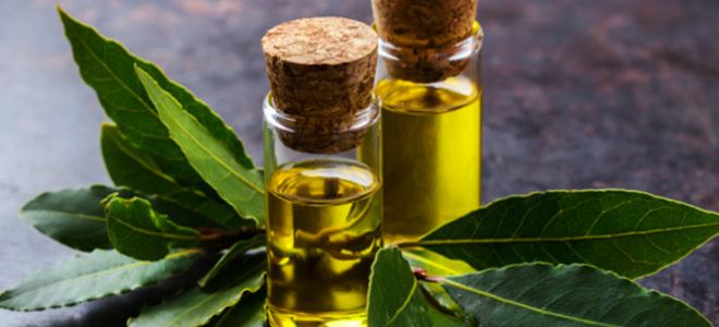 лавровый лист для волос лавровый лист для волос