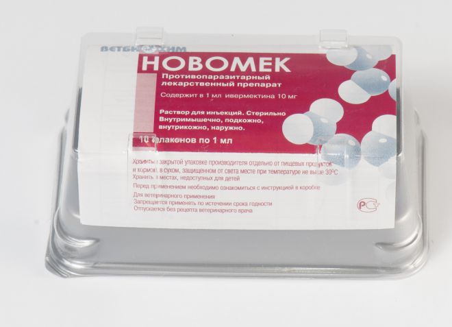 новомек при демодекозе у собак новомек при демодекозе у собак