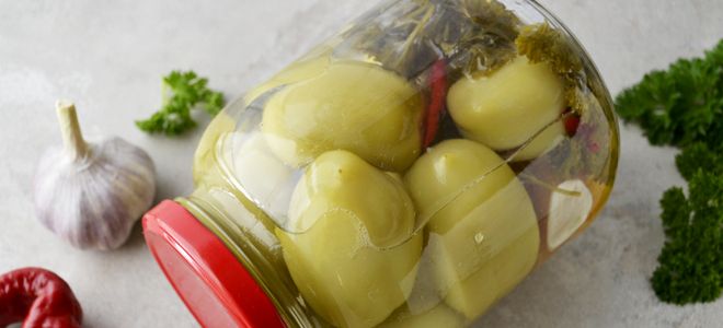 острые зеленые помидоры на зиму острые зеленые помидоры на зиму