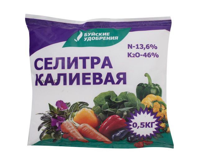 Подкормка клубники калийной селитрой во время цветения Подкормка клубники калийной селитрой во время цветения