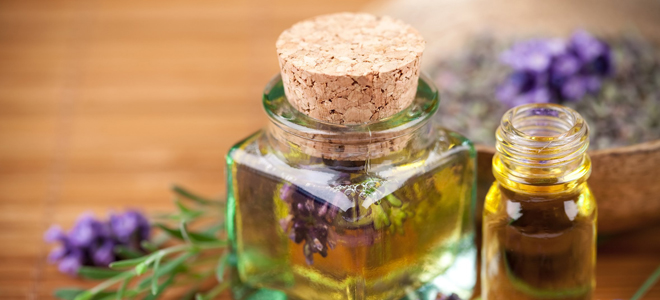 как сделать масло из шалфея