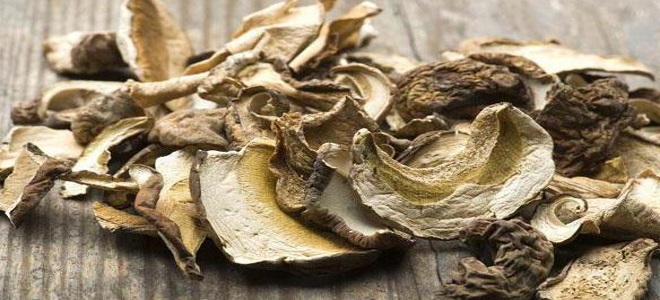 как сушить грибы зонтики в духовке