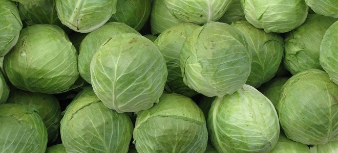 Капустная диета на 7 дней