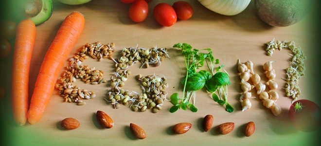 кто такие веганы1