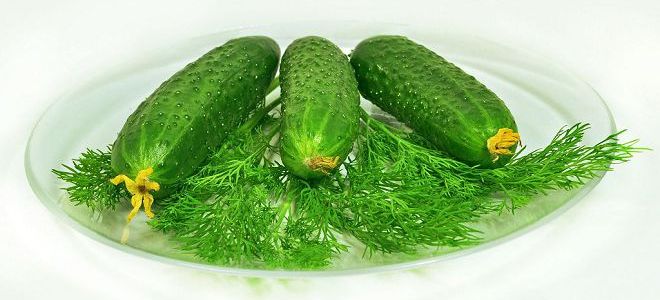 огуречная диета