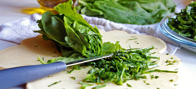 щавель при подагре