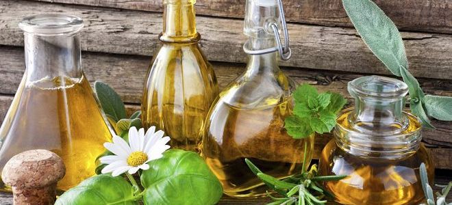 виноградное масло полезные свойства