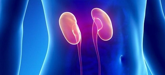 заброс мочи из мочевого пузыря в мочеточники