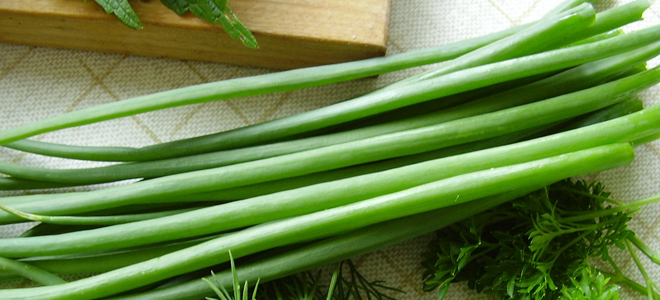 зеленый лук полезные свойства