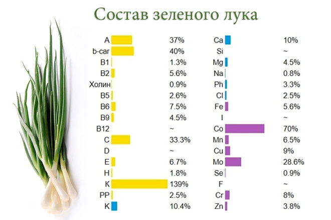 зеленый лук состав